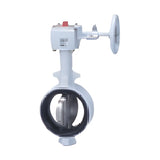 KITZ 10K Ductile Iron THROTTROL HRDJ Butterfly Valve (G-10HRDJUE)