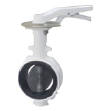 KITZ 10K NFJ Nylon-Lined Butterfly Valve (10NFJUE(W) family)
