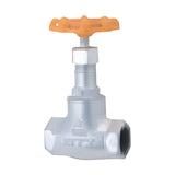KITZ 10K Ductile Iron Globe Valve (10SDL, 10SDLBF)