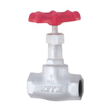 KITZ 10K Ductile Iron Globe Valve (10SJ, 10SJBF)