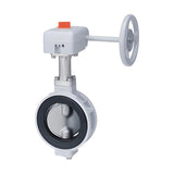 KITZ 10K/Class 150 Aluminum Butterfly Valve, Long Neck (10XJMEA)
