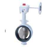 KITZ Class 150 Ductile Iron DJ Series Butterfly Valve (G-150DJA(E))