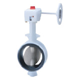 KITZ Class 150 Ductile Iron DJ Series Butterfly Valve (G-150DJM(E))