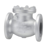 KITZ Class 150 Ductile Iron Swing Check Valve (150SRB)