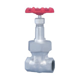KITZ 16K Ductile Iron Gate Valve (16SMS, 16SMB)