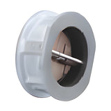 KITZ Cast Iron Dual Plate Wafer Check Valve (10FWZ, FWNB Series)