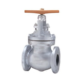 KITZ BS 1873 Cast Carbon Steel Globe Valve, Class 150-1500 (SCJS)