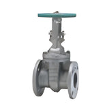 KITZ Class 150/300/600 Stainless Steel Gate Valve (UMAM)