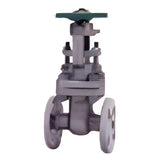 KITZ C Series API 600 Stainless Gate Valve, Class 150-1500 (UMCM)