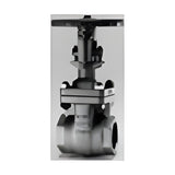 KITZ D Series Stainless Gate Valve, NPT/Socket Weld (AK/AW-UMM)