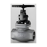KITZ D Series Stainless Globe Valve, NPT/Socket Weld (AK/AW-UPM)