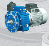 Motovario Variator Worm Gearmotor S + NMRV Combination