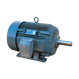 Shinmyung Three-Phase Induction Motors (Standard, Flange, HT)