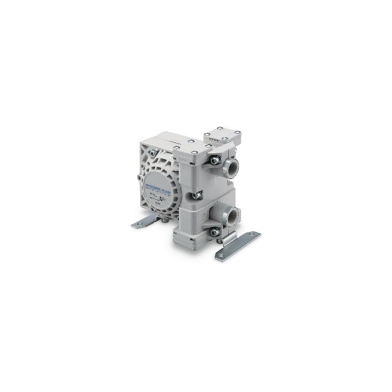 SMC PA5000 Process Pump (Auto / Air Operated, 1/2" and 3/4")