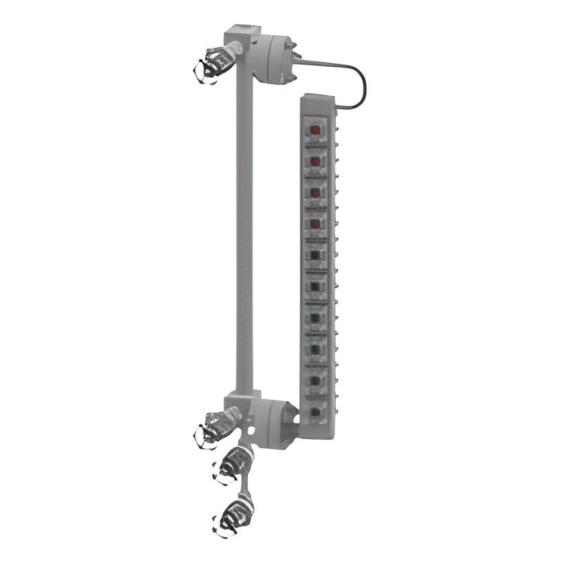 WISE L510 Multi-Port Two-Color Level Gauge