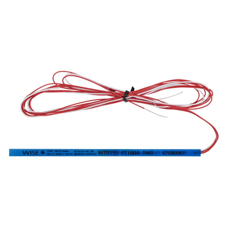 WISE R820 Intrinsic Safety Stator Winding RTD